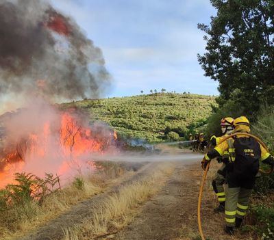 El incendio de Ávila continúa activo y fuera de control