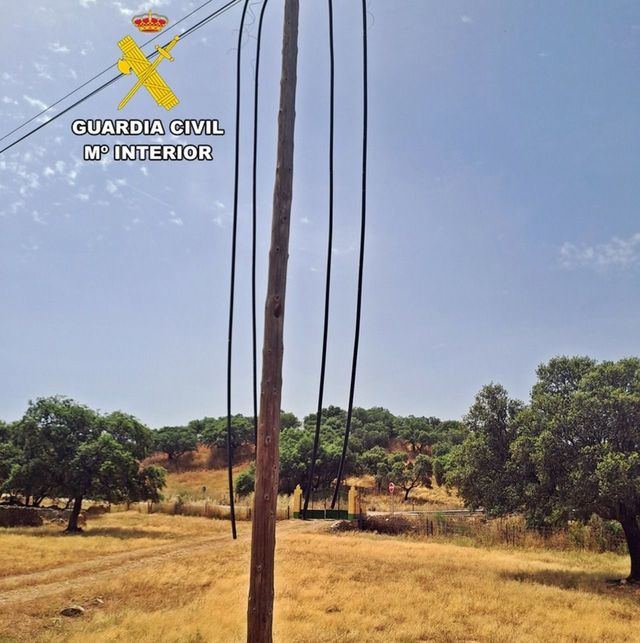 Desarticulado un grupo acusado del robo de ganado y de cable de líneas telefónicas en Extramadura y Toledo