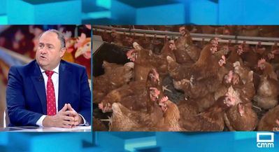 Gripe aviar en Toledo: sacrificadas 50.000 gallinas para evitar expansión del virus