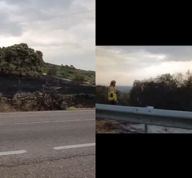 Incendio y bombero forestal