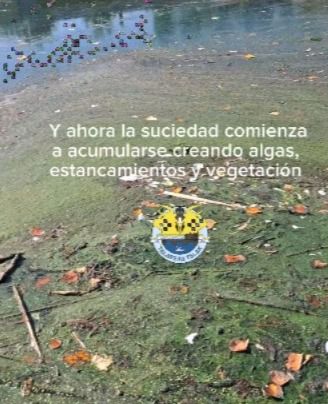 El Club Talak sigue pidiendo apoyos urgentes para salvar el canal del Tajo en Talavera
