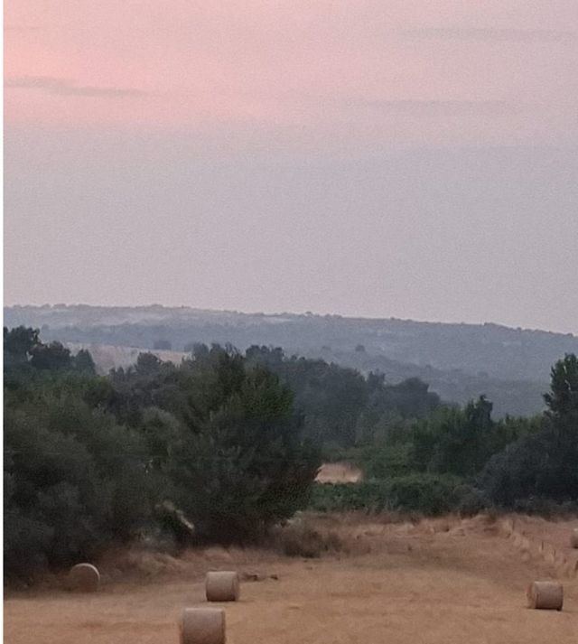 ¿Vives en Toledo o Talavera? Debes saber esto sobre la calidad del aire y tu salud
