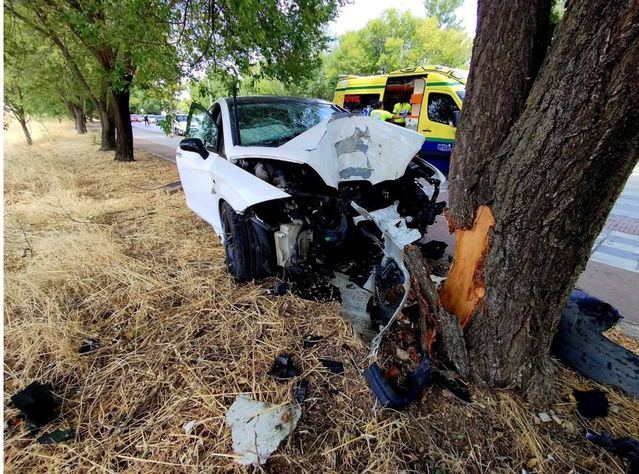 Herido un conductor tras chocar contra un árbol