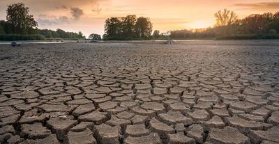 Castilla-La Mancha ofrecerá hasta 2.350 euros para los agricultores en ayudas para la sequía