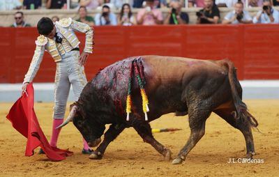 Villaseca de la Sagra anuncia los premios del XXV Alfarero de Oro 2025