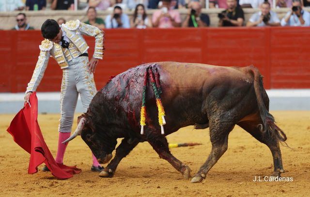 Villaseca de la Sagra anuncia los premios del XXV Alfarero de Oro 2025