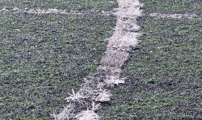 El PSOE denuncia el estado de las instalaciones deportivas tras varios incidentes