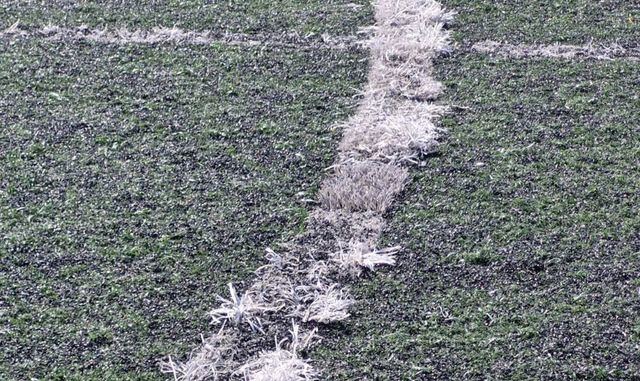 El PSOE denuncia el estado de las instalaciones deportivas tras varios incidentes