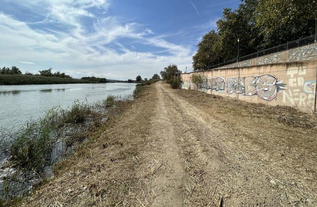 Arrancan las obras de poda y desbroce de la ribera del río Tajo en Talavera