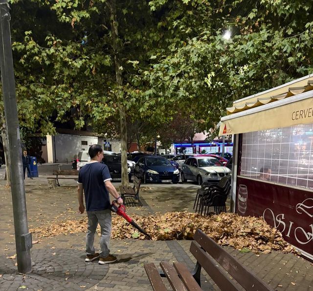 Acumulación de hojas en la calle Alvarado: los vecinos se quejan de la falta de limpieza pese al nuevo contrato municipal
