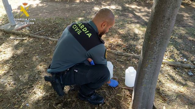 Investigado por haber provocado presuntamente la muerte de más de 100 gatos
