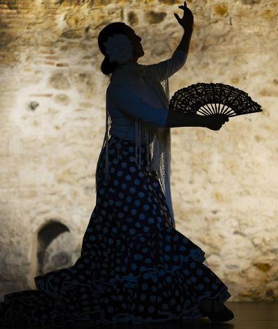 Talavera aplaza al 29 de noviembre el Festival del Día Internacional del Flamenco