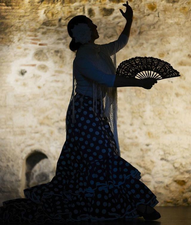 Talavera aplaza al 29 de noviembre el Festival del Día Internacional del Flamenco