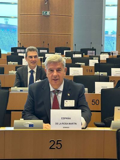 Miguel Ángel de la Rosa en el Parlamento Europeo de Bruselas
