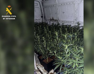 Detienen a dos personas tras hallar 124 plantas de marihuana en el vehículo en el que circulaban