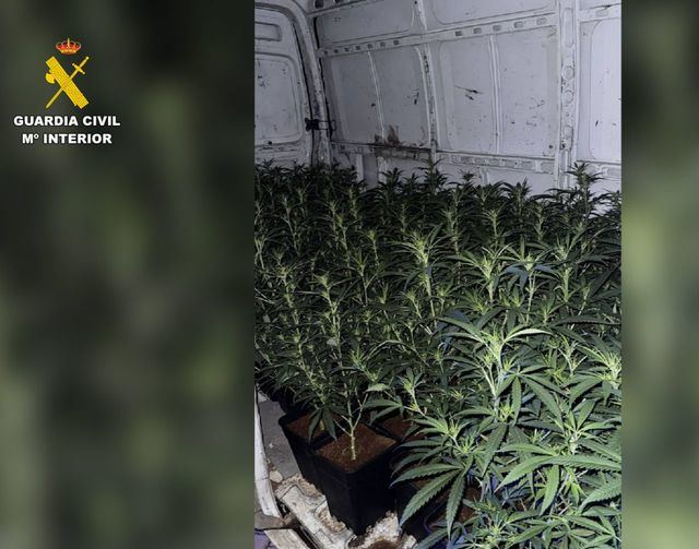 Detienen a dos personas tras hallar 124 plantas de marihuana en el vehículo en el que circulaban