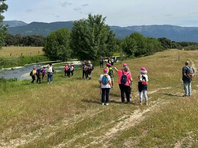 La Diputación de Toledo ofrece la XVIII edición del programa ‘Paseos Naturales’