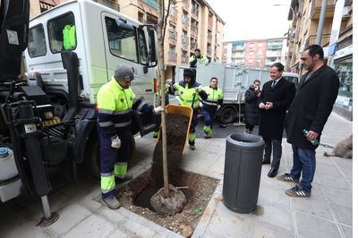 Toledo planta 60 nuevos árboles en el barrio de Santa Teresa