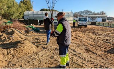 La Diputación reparte gratuitamente más de 25.000 árboles y arbustos a ayuntamientos, centros educativos y asociaciones