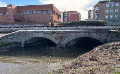 Las cañas que quedaron en el cauce tras la limpieza, en el centro de las inundaciones