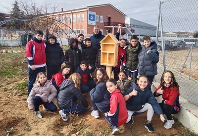 Los colegios de Toledo se convierten en refugios de biodiversidad gracias a 'Patios Vivos'