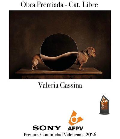 Valeria Cassina brilla en los Premios Comunidad Valenciana de AFP