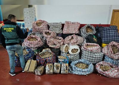 Tres detenidos por robar y enviar adormidera a España y Estados Unidos