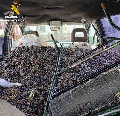 Pillados con más de 800 kilos de aceitunas robadas en el maletero