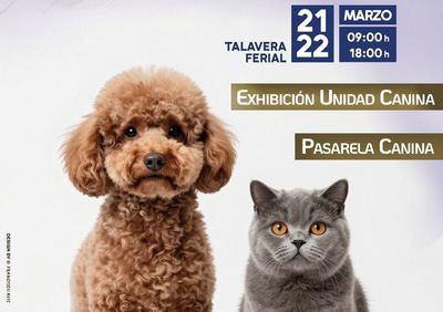 Más de 1.000 perros y 200 gatos se dan cita en Talavera Ferial este fin de semanas