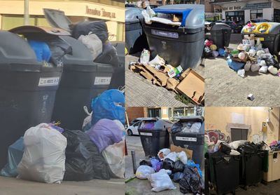 Basura, ratas y cucarachas: los contenedores de Talavera están desbordados