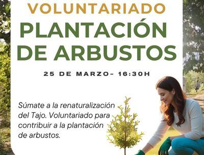 Toledo organiza una jornada abierta de plantación para renaturalizar el Tajo