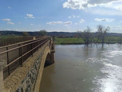 Toledo insta al Gobierno a que cumpla las sentencias en materia hidráulica y a la aprobación urgente de nuevas reglas de explotación