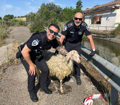 Final feliz en el canal del Alberche gracias a dos policías locales de Talavera