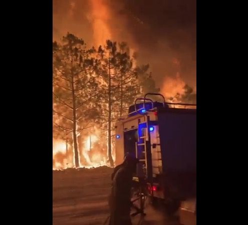 El fuego de Cebreros calcina unas 4.700 hectáreas