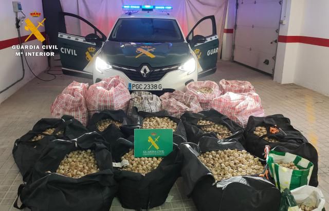 Delitos contra la salud pública, hurto y daños en cultivos: 16 personas detenidas