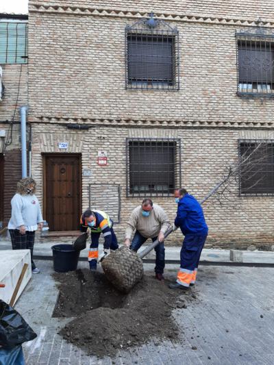 TOLEDO | El Ayuntamiento embellece la ciudad plantando árboles
