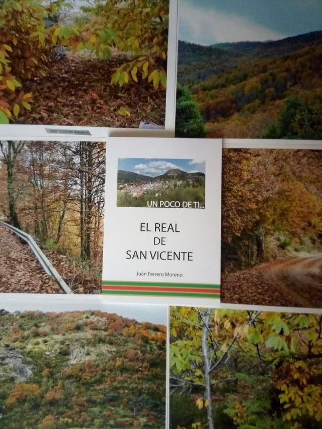El Real de San Vicente apuesta por la literatura local
