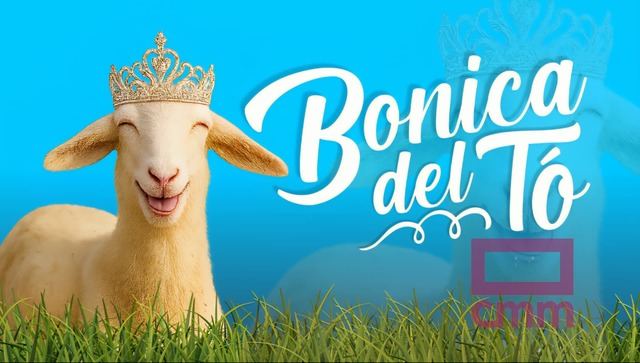 CMM lanza 'Bonica del tó': El concurso que busca a la oveja más bonita de CLM