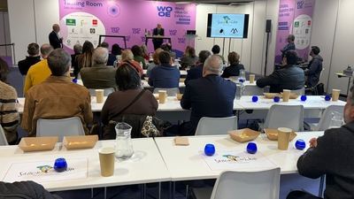 La WOOE y la Diputación de Toledo impulsan la formación especializada en aceite de oliva virgen extra