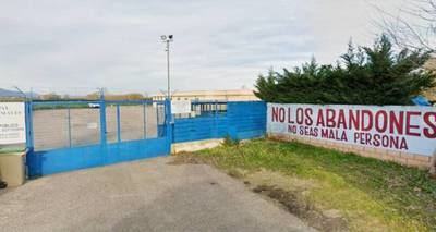 Sin agua y sin electricidad: La mala situación continúa en el Centro de Acogida de Animales