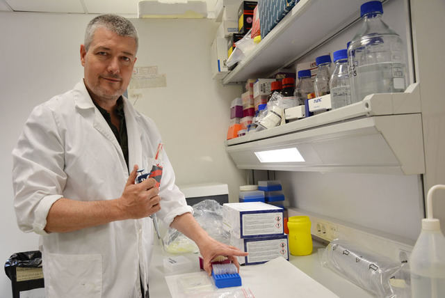 Un investigador de la UCLM, miembro del comité científico para el asesoramiento del brote de peste porcina africana