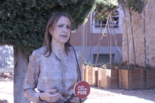 Maestre critica la inacción de PP y Vox ante las limitaciones europeas
