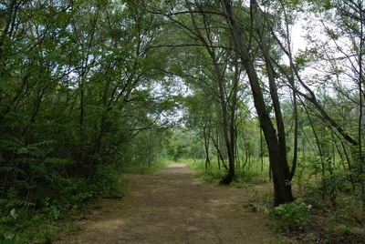 Las joyas de la Reina