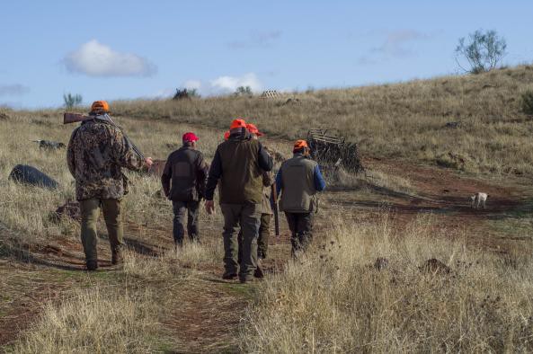Entra en vigor la nueva orden de caza en Castilla-La Mancha