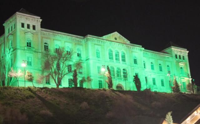 La Diputación se ilumina de verde por la ELA
