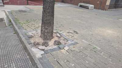 Así se encuentra esta calle de Talavera: suciedad, baldosas rotas, tocones, malas hierbas y parques infantiles abandonados