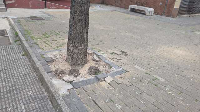 Así se encuentra esta calle de Talavera: suciedad, baldosas rotas, tocones, malas hierbas y parques infantiles abandonados