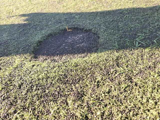 El PSOE denuncia el mal estado del campo ‘Jesús Fraile’ tras una nueva lesión deportiva