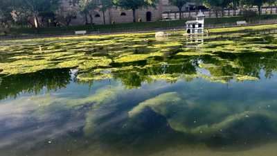 Crece la preocupación por el estado de parques y lagos en Talavera