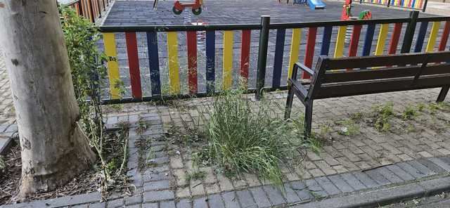 Tres parques infantiles se encuentran 'en lamentables condiciones' en el barrio de La Solana
